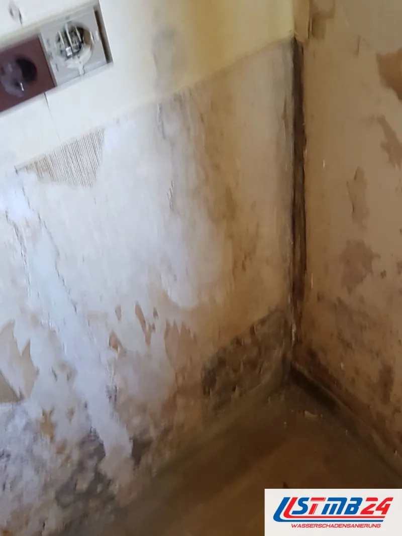 Raumecke mit abgeplatzter Farbe und dunklen Feuchteflecken