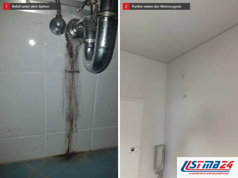 Zwei Ansichten: schwarzer Belag unter einem Siphon auf weißen Wandfliesen, daneben helle Wand mit kleinen dunklen Punkten neben einer Wohnungstür