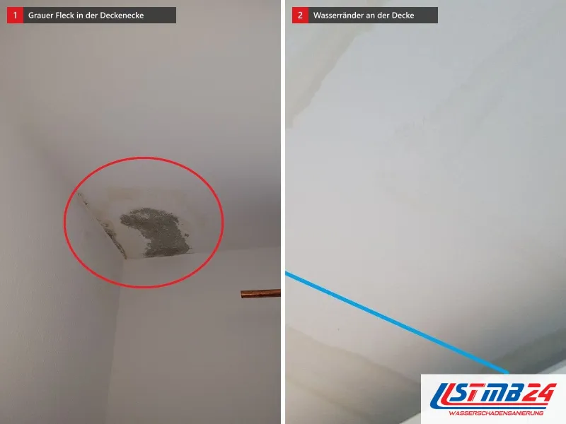 Zwei Ansichten: Deckenecke mit rot umkreistem grauem Fleck, daneben Decke mit gelblichen Wasserrändern und blauer Anzeichnung