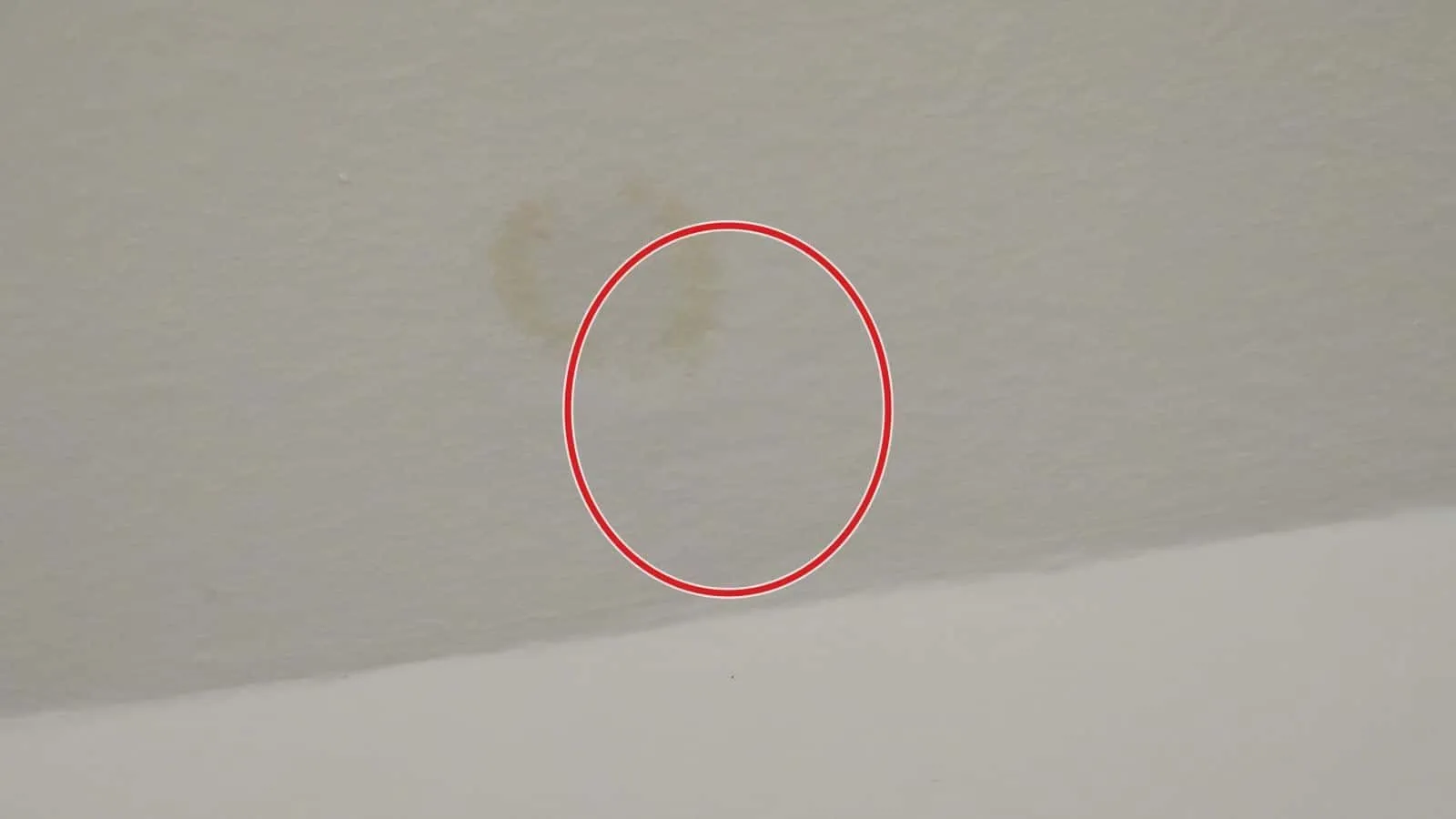 Heller Wasserring an einer glatten weißen Decke