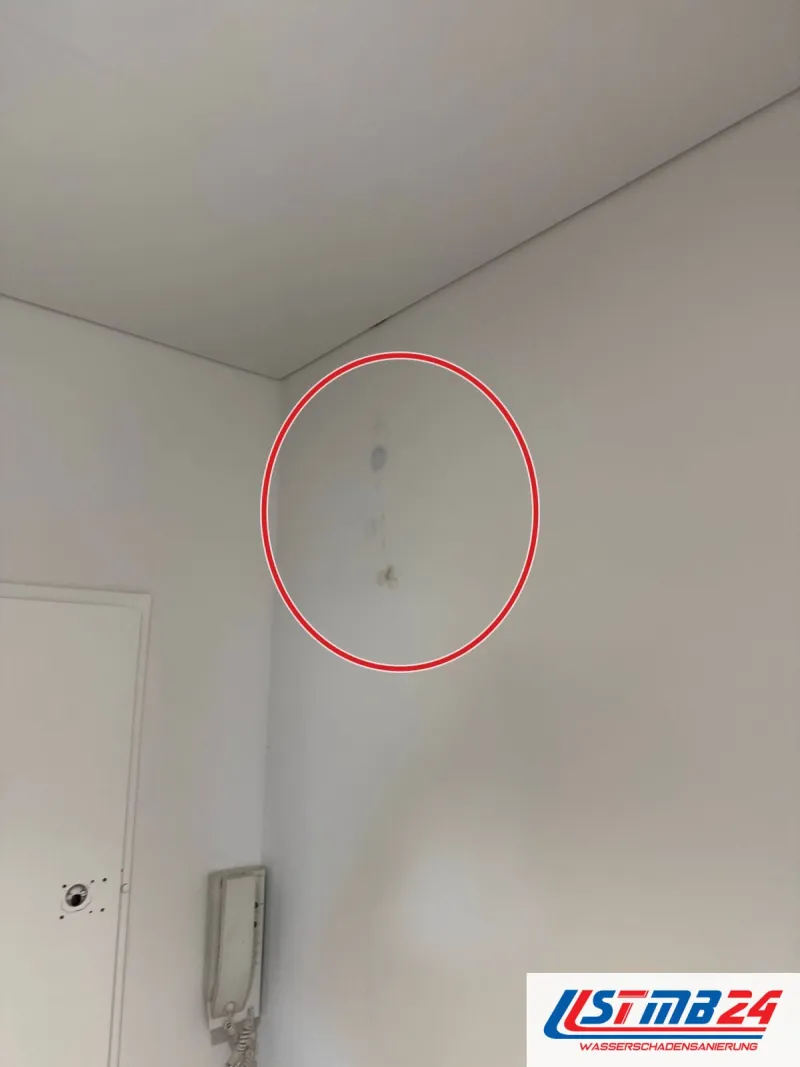 helle Wand mit kleinen dunklen Punkten neben der Wohnungstür, ein roter Kreis markiert die Stelle