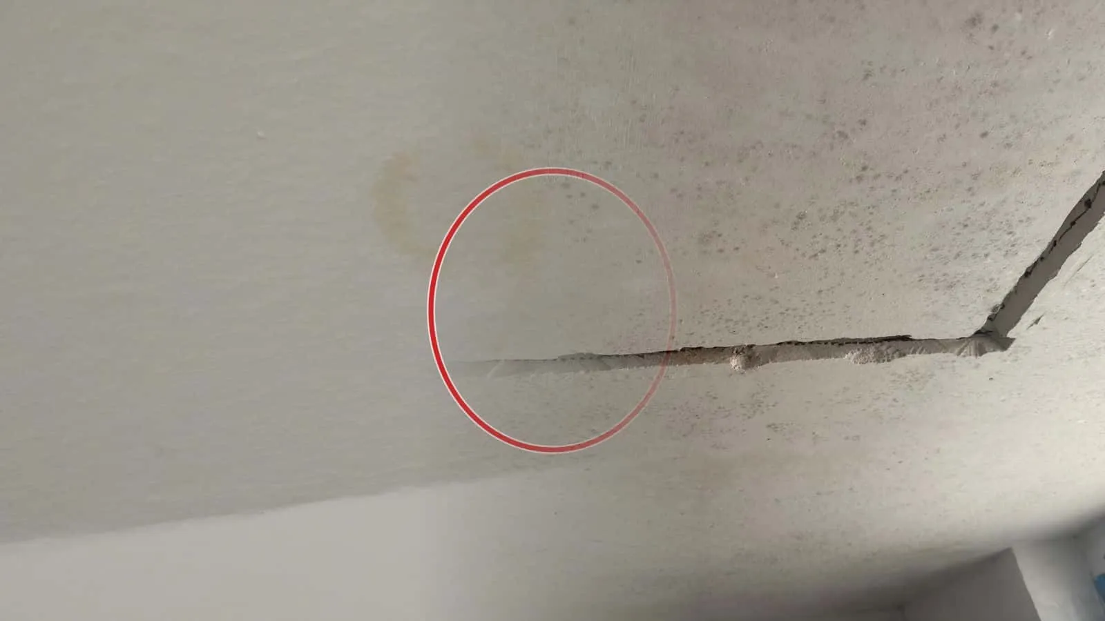 Decke mit verstreuten Schimmelpunkten und einem feinen Riss