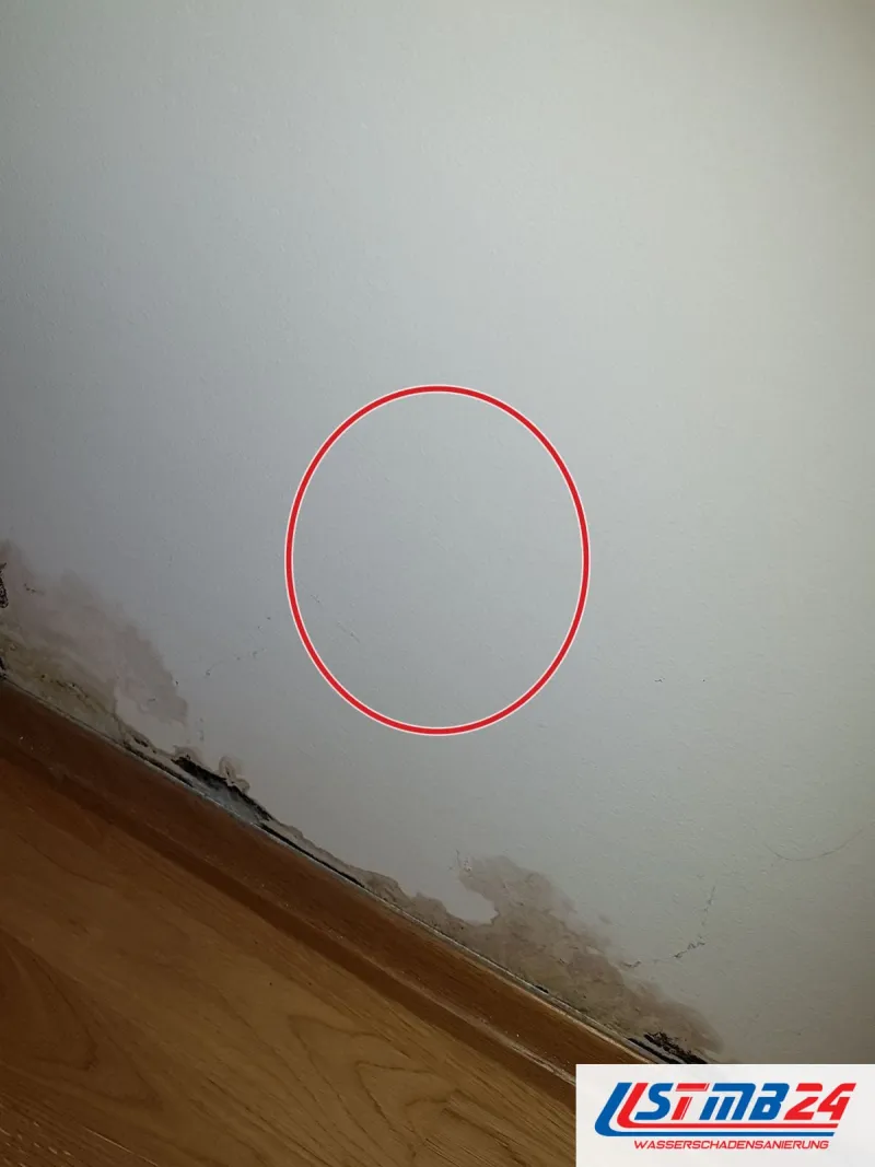 Wand mit Schimmel am Sockel über Laminat, ein roter Kreis markiert die Stelle