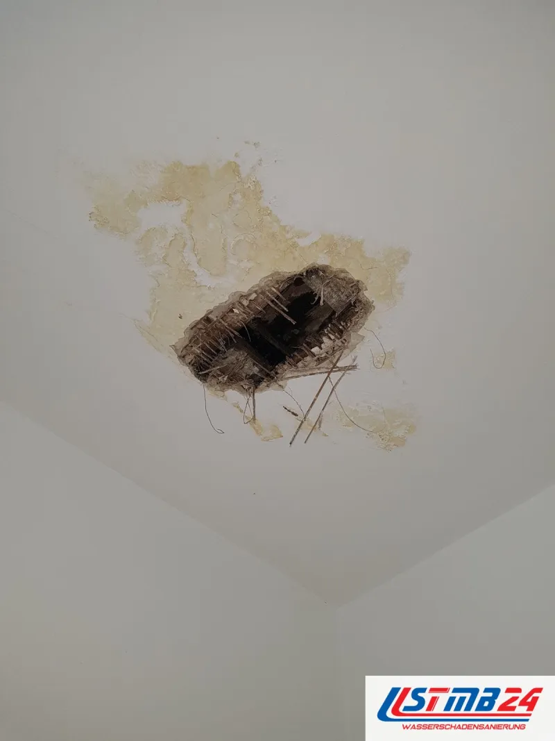 Ausgebrochenes Loch in einer weißen Decke, ringsum ein gelber Wasserrand, aus der Öffnung ragen Drähte des Putzträgers