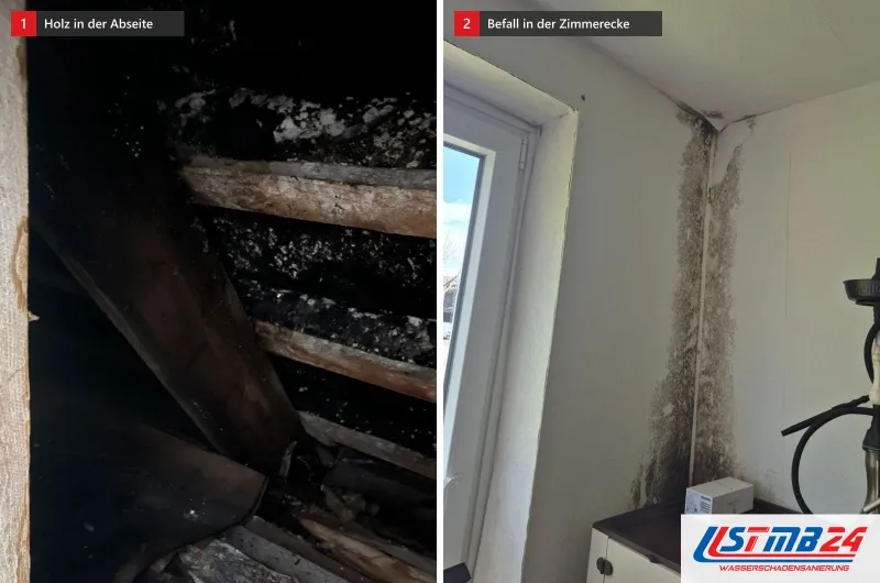 Zwei Bilder: links dunkle Holzbalken mit weißem Pilzbewuchs in einer Abseite, rechts dunkler Befall in einer Zimmerecke am Fenster