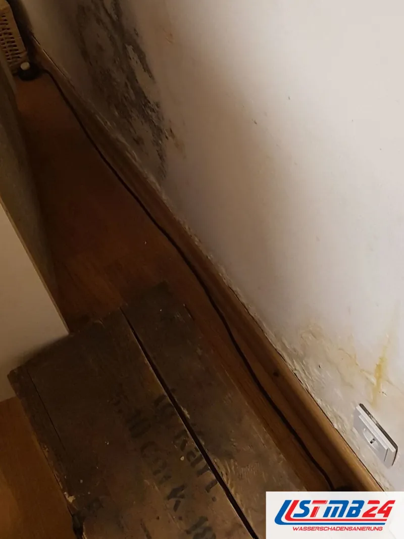 Wandecke mit dunklem Schimmel über einem Holzboden, die Sockelleiste fleckig