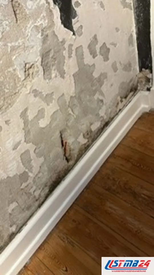 Wand mit fleckig abgelöstem Anstrich bis zur Sockelleiste, darunter alte Holzdielen, an denen die Nässe aus der Wand ankommt