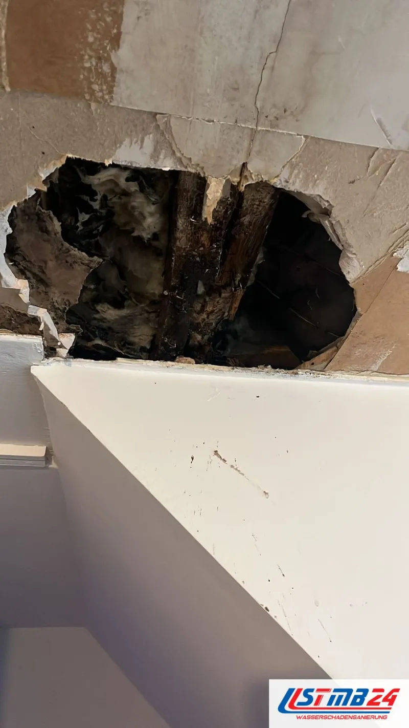 Aufgebrochene Decke über einem weißen Einbauschrank, im Loch nasse dunkle Balken und Dämmung