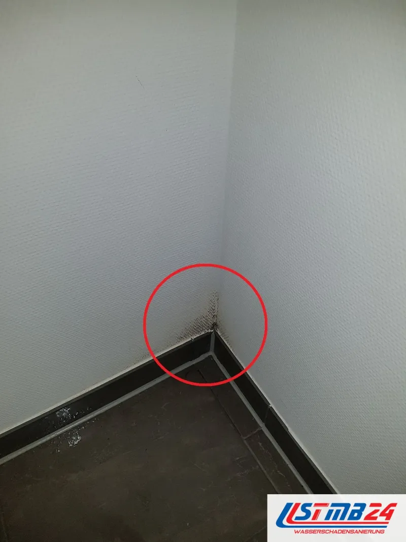 Weiße Zimmerecke über dunklem Boden, rot umkreist ein kleiner Fleck direkt über der Sockelleiste
