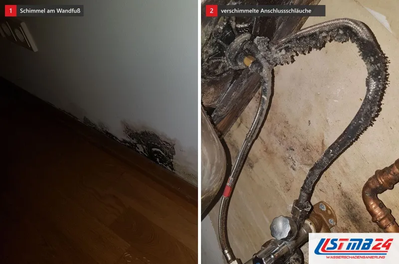 Schwarzer Schimmel am Wandfuß über einem Holzboden und zwei verschimmelte Anschlussschläuche an einem Eckventil