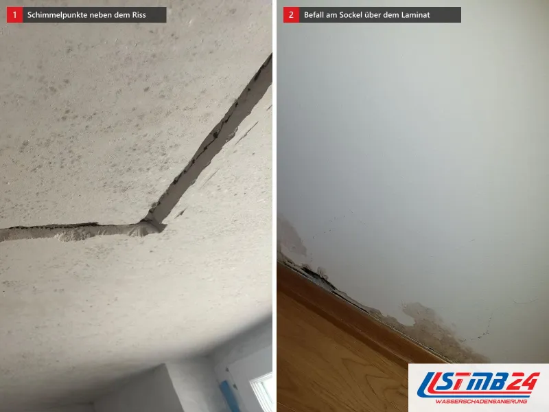 Zwei Ansichten: Decke mit Schimmelpunkten und einem Riss, daneben Wand mit Schimmel am Sockel über einem Laminatboden