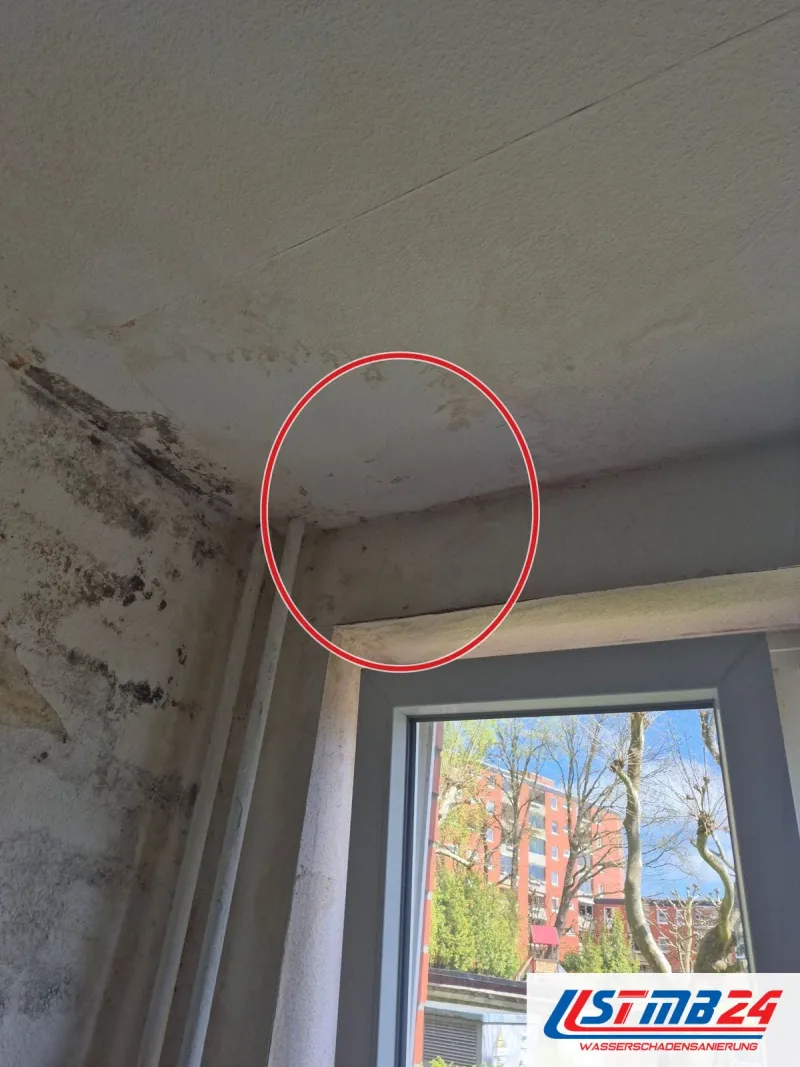Fenster mit schwarzem Schimmel an Laibung, Wand und Deckenkante, die Fläche über dem Sturz grau verfärbt, ein roter Kreis markiert die Stelle