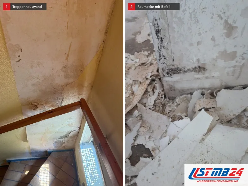 Zwei Ansichten: Treppenhaus mit Holzhandlauf und Glasbausteinfenster, daneben Raumecke mit abgeplatztem Putz und Schimmel, Schutt am Boden