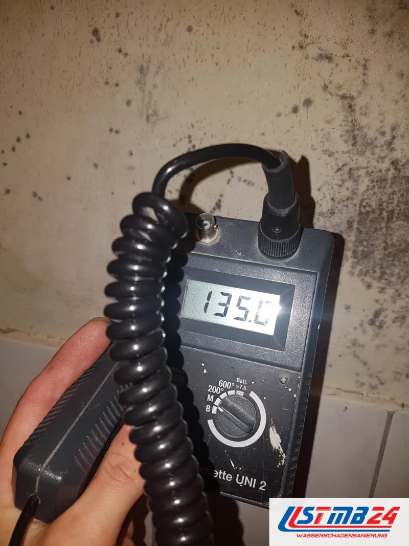 Feuchtemessgerät mit Spiralkabel vor einer Wand voller schwarzer Schimmelflecken über den Fliesen, das Display zeigt 135,0