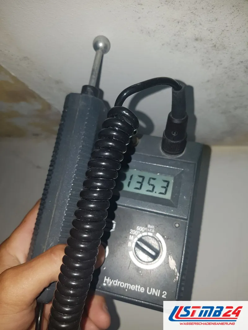 Feuchtemessgerät mit der Anzeige 135,3 vor einer Wand, an deren oberem Rand sich dunkle Flecken zeigen