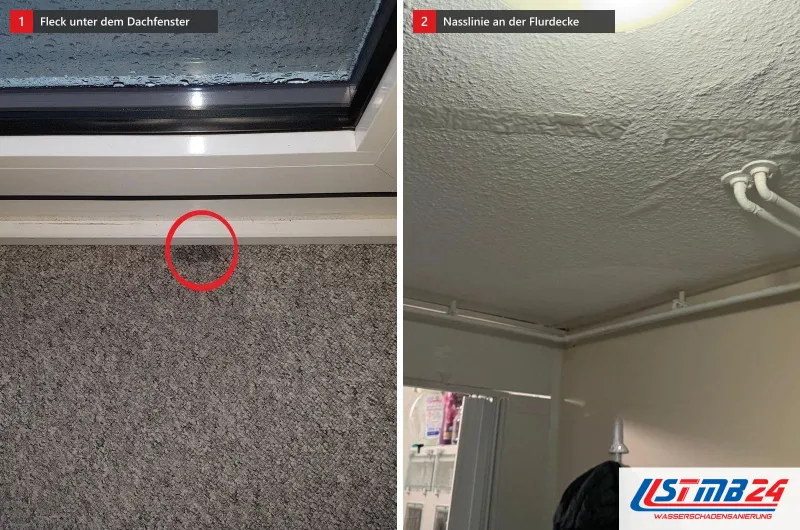 Zwei Bilder: links ein rot umkreister Fleck im Teppich unter einem Dachfenster, rechts eine Rauputzdecke mit dunkler Nasslinie an zwei Rohren