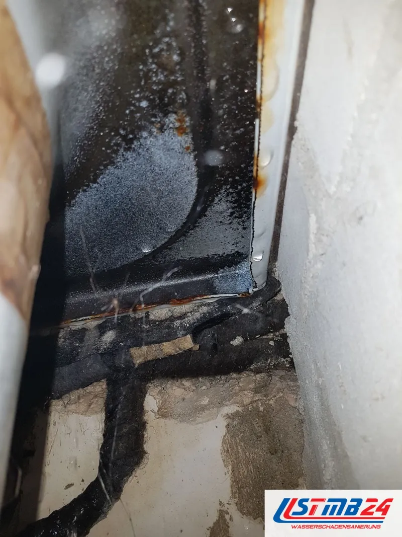 Schwarzer Schimmel zieht sich an einer Wand hinter einem Möbelstück entlang, die Kante ist dunkel verfärbt