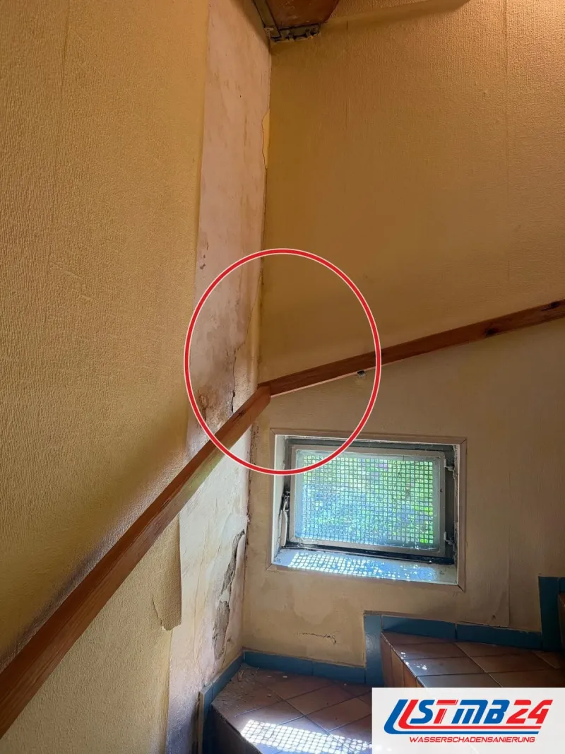 Treppenhauswand mit Feuchteflecken neben dem Fenster, ein roter Kreis markiert die Stelle