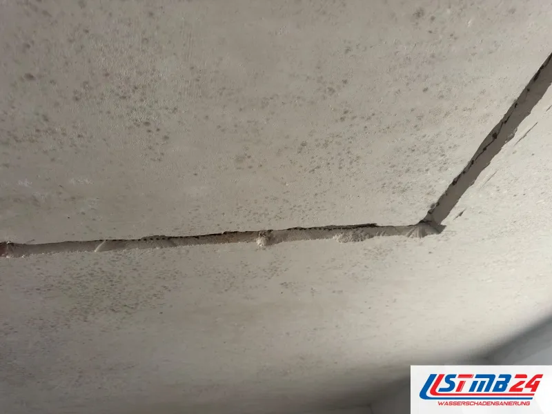 Graue Decke mit dicht gestreuten dunklen Schimmelpunkten bis an die Kante zur Wand