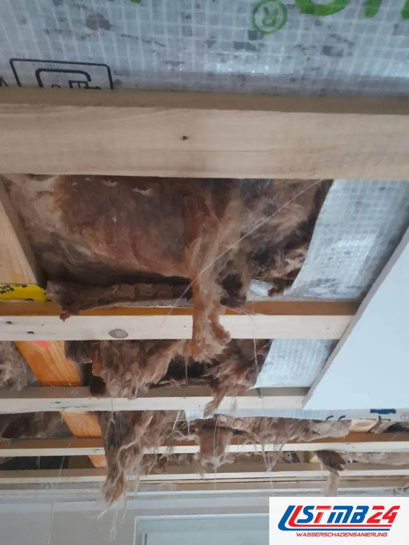 Aufgeschnittene Dampfbremse an einer Decke, zwischen den Latten hängt braun durchnässte Dämmwolle heraus