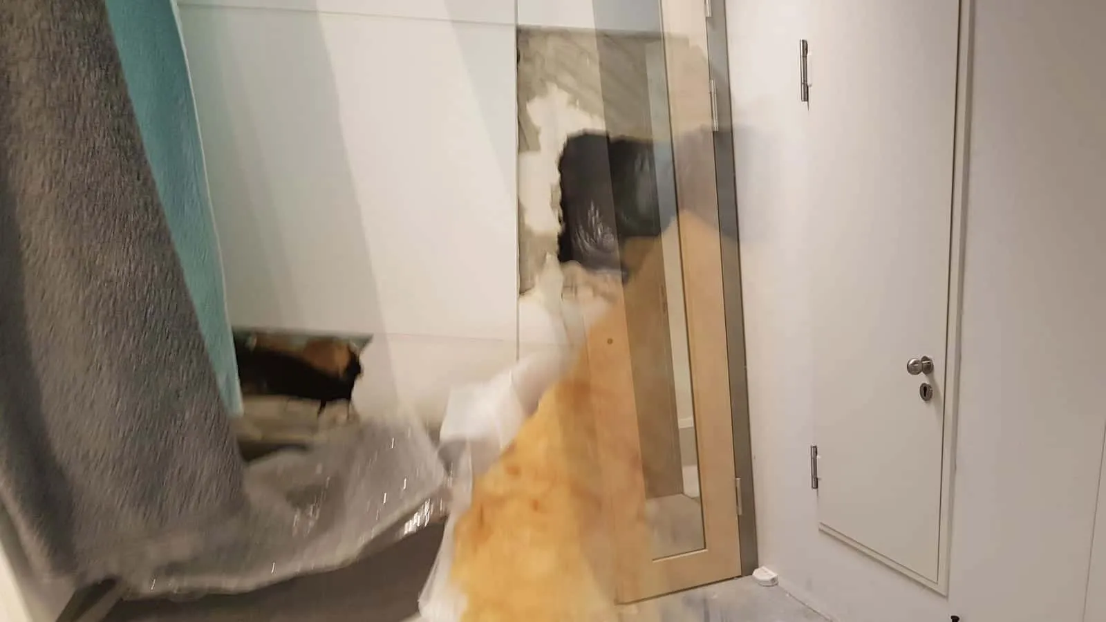 Neubauflur mit Holzzarge und geschlossener Tür