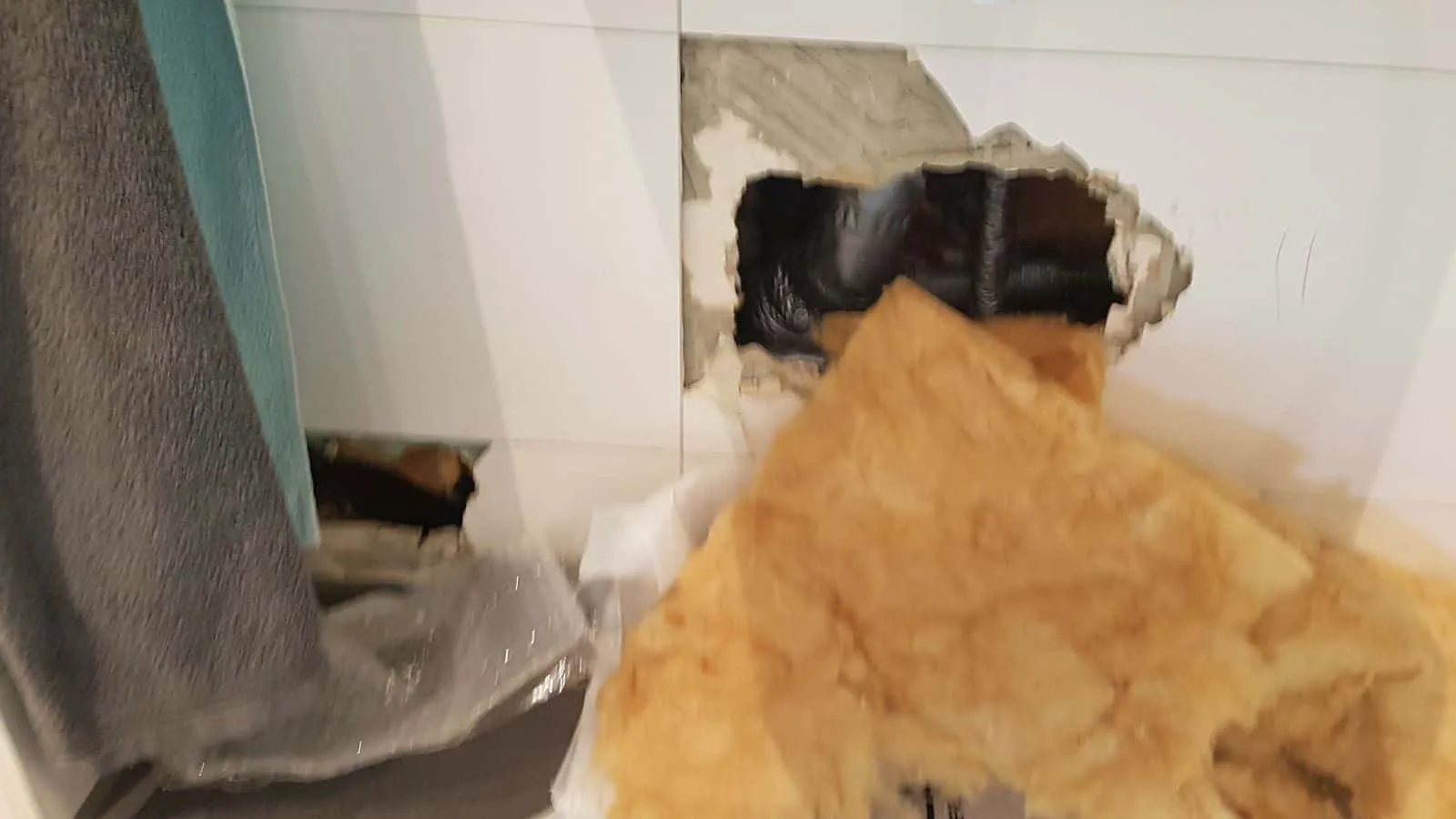 Badwand mit herausgebrochenem Loch, aus dem gelbe Dämmwolle hängt