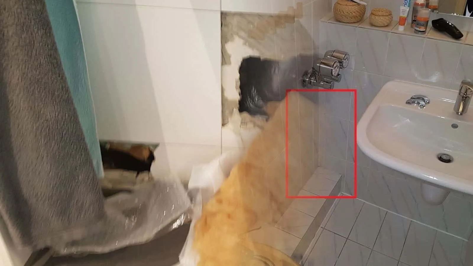 Rot gerahmte Fliesen unter den Eckventilen eines Waschbeckens
