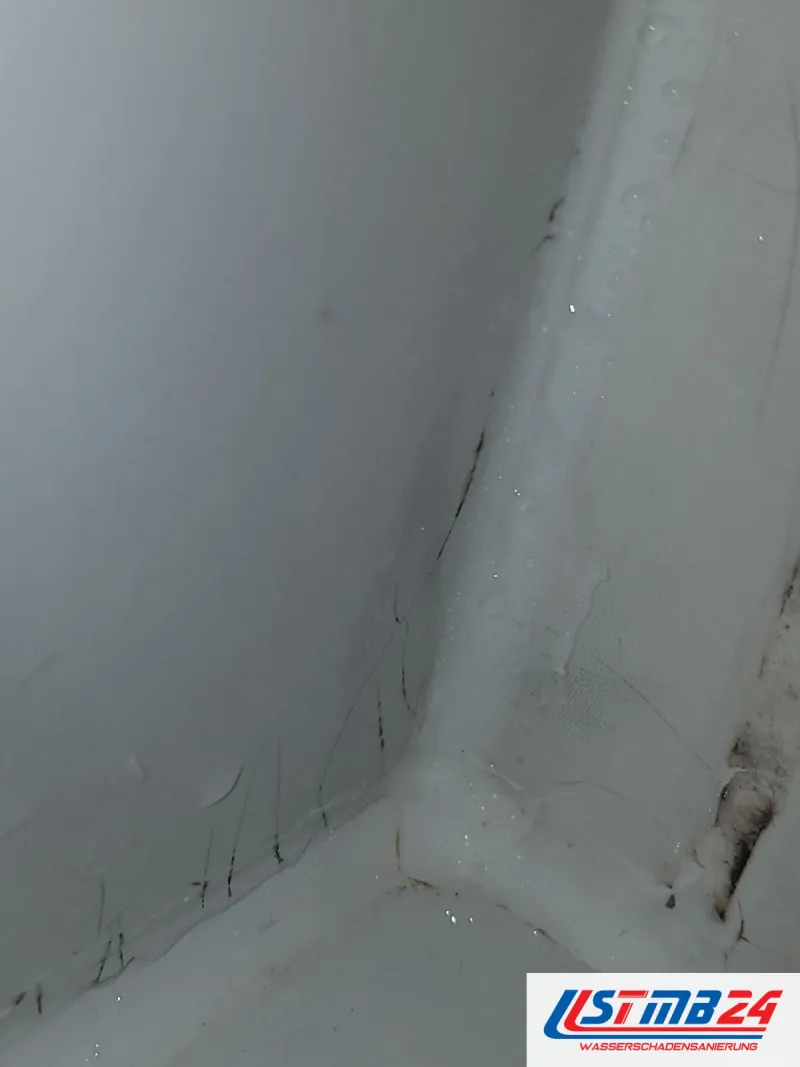 Duschecke in Nahaufnahme: Die Silikonfuge zur Wand ist schwarz gesprenkelt und an einer Stelle gerissen