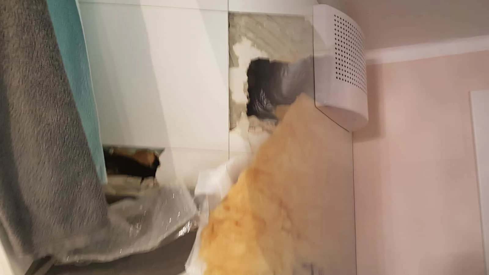 Ablüfter unter der Decke einer rosa gestrichenen Badwand