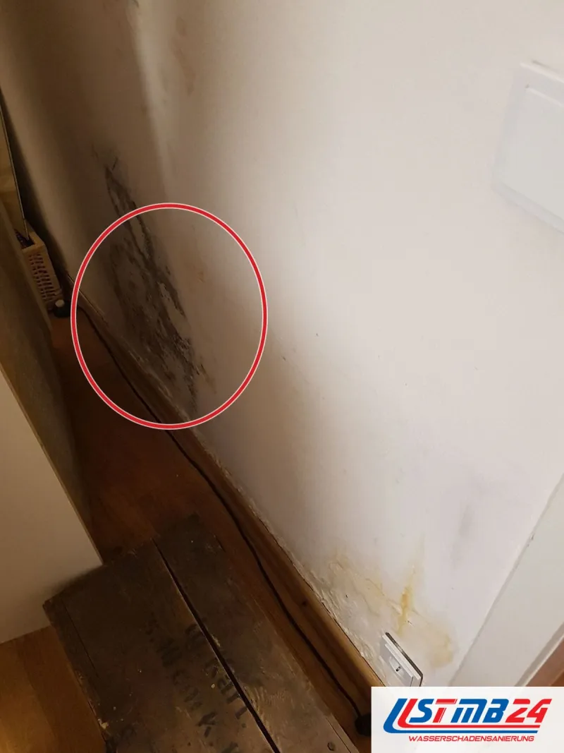 Raumecke mit dunklem Schimmelbefall über alten Holzdielen, ein roter Kreis markiert den Befall, darunter gelbliche Wasserränder