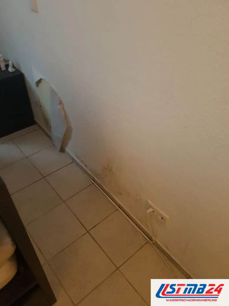 Wand über hellen Fliesen mit dunklen Feuchteflecken am Sockel, links löst sich die Tapete, rechts sitzt eine Steckdose knapp über dem Boden