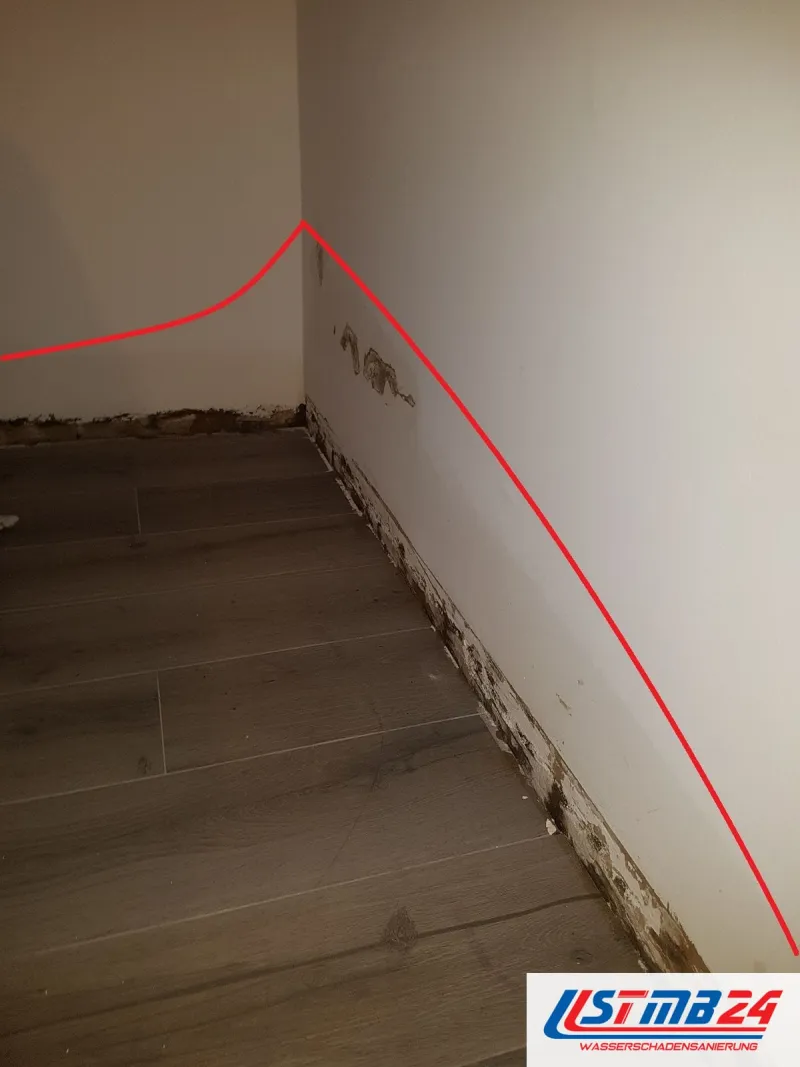 Wand über dunklem Laminat mit fleckiger Sockelkante, eine rote Linie markiert die gemessene Feuchtehöhe an beiden Wänden
