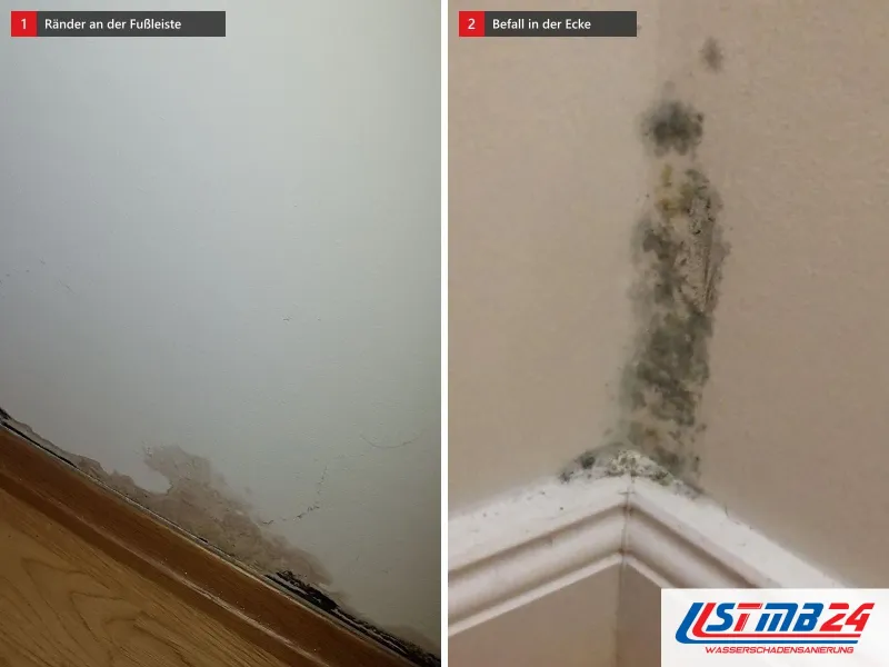 Zwei Ansichten: dunkle Ränder an Wand und Fußleiste über Parkett, daneben grünschwarzer Schimmel in einer Raumecke über der Sockelleiste