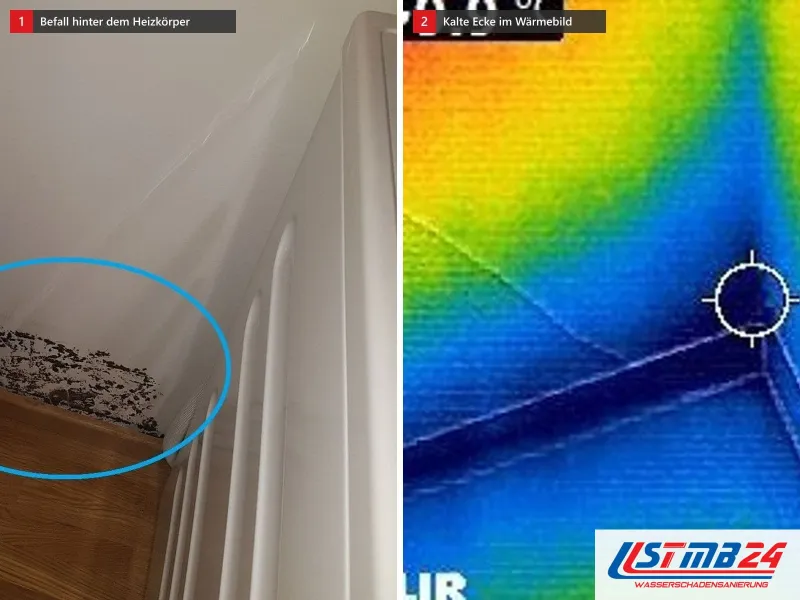 Zwei Ansichten: dunkler Befall in der Ecke hinter einem Heizkörper, blau eingekreist, daneben das Wärmebild einer Raumecke mit kalter Stelle