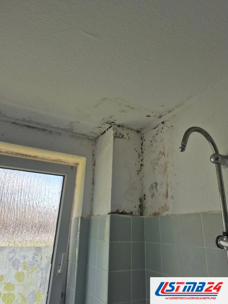 Bad mit Fenster, an Decke und Wand über den hellblauen Fliesen dunkle Schimmelflecken, rechts die Duscharmatur