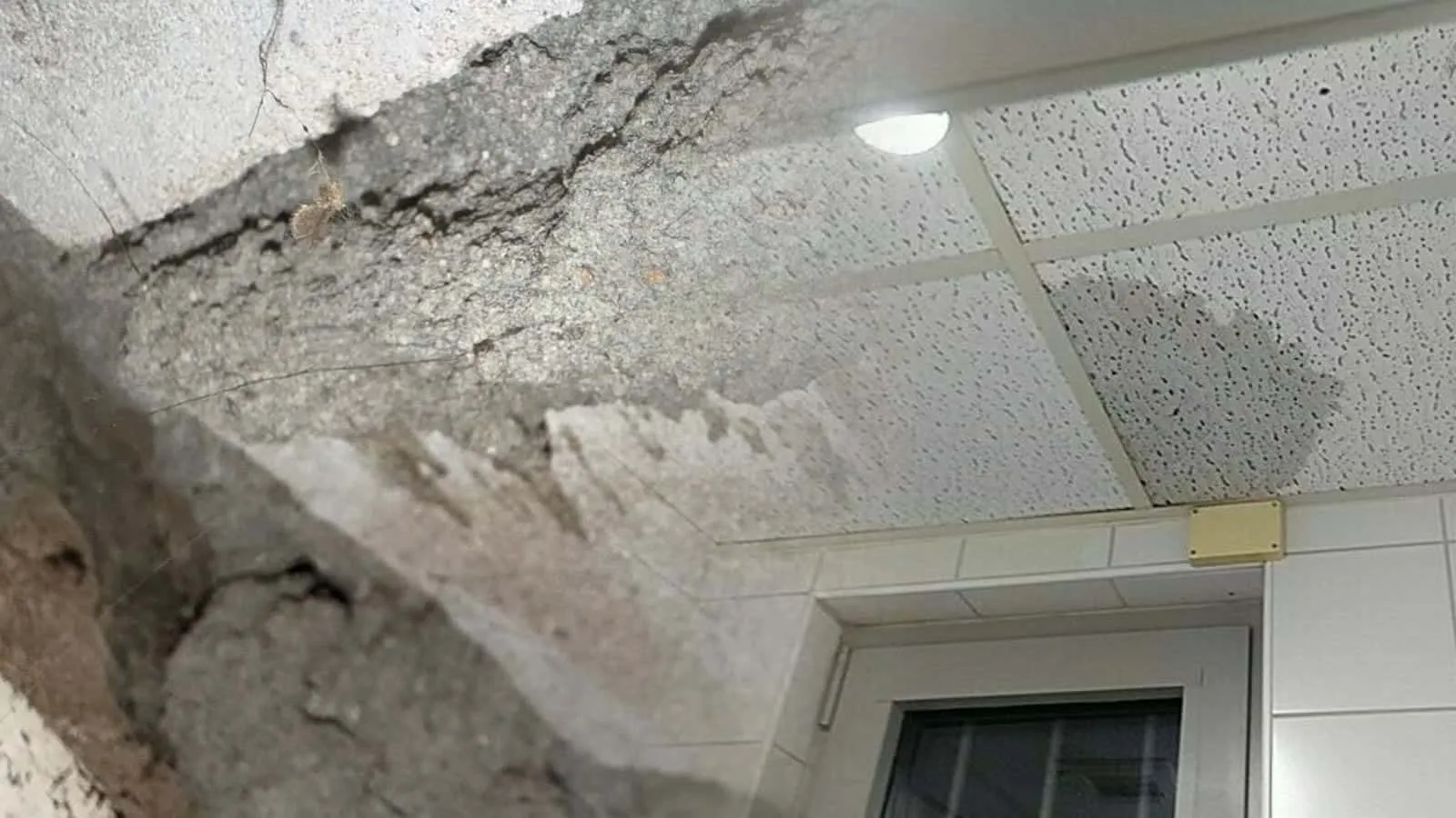 Rasterdecke mit nass verfärbter Platte