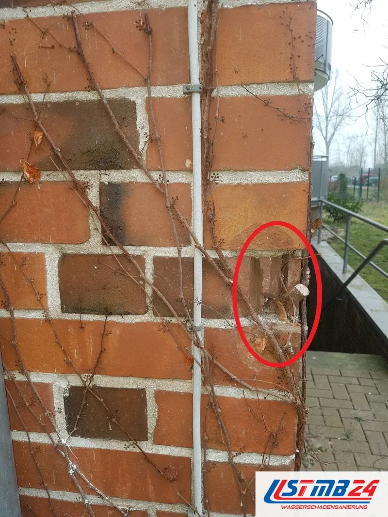 Klinkerpfeiler mit Ranken, rot umkreist eine ausgebrochene Fuge direkt neben dem Fallrohr