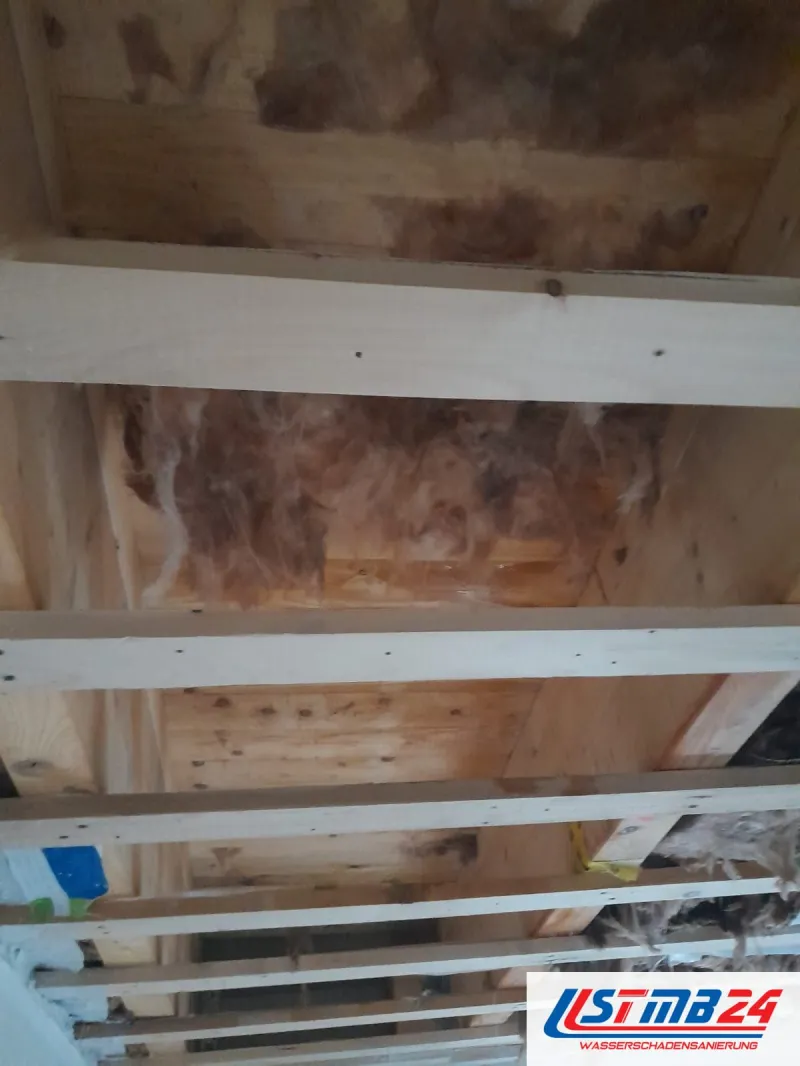 Geöffnete Holzbalkendecke mit dunklen Feuchteflecken an Balken und Brettern, dazwischen Reste der Dämmung