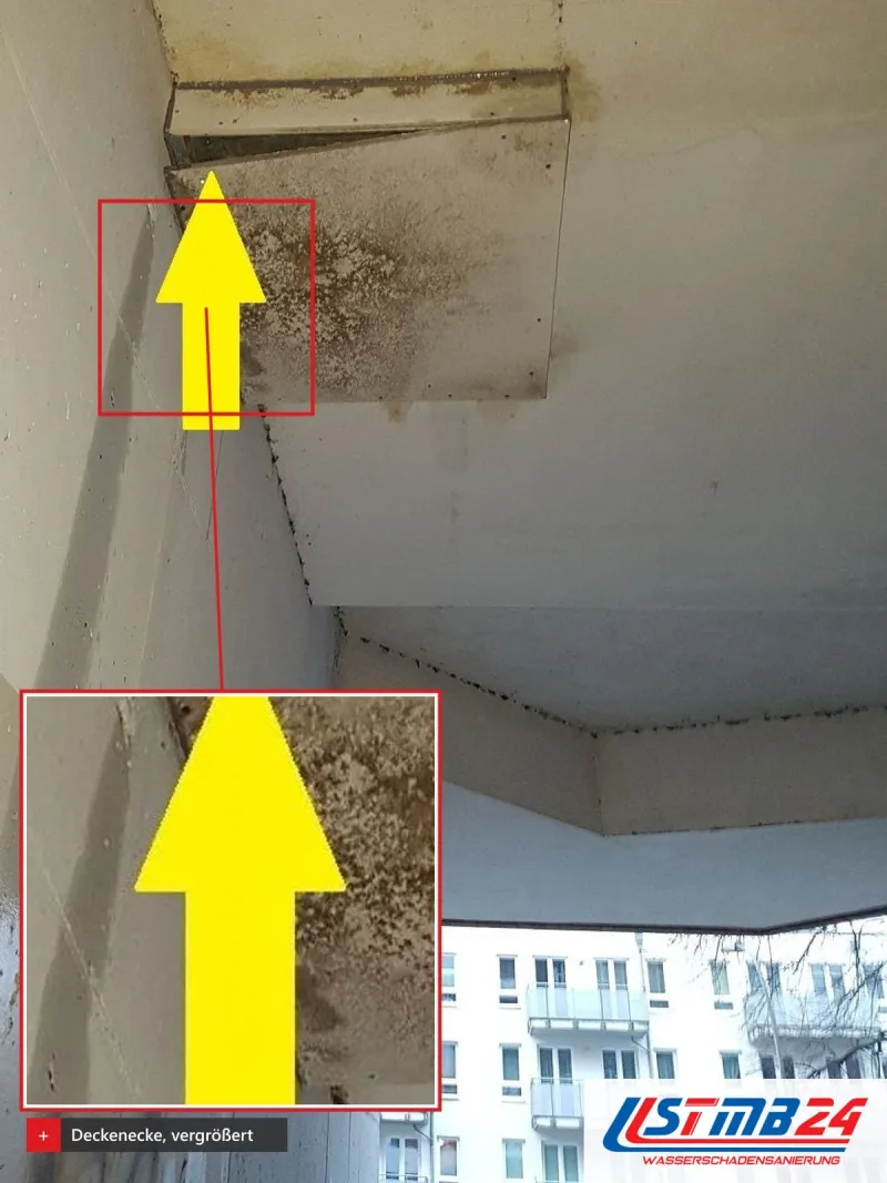Deckenecke über einem Fenster mit dunklem Befall, gelbe Pfeile markieren die Stelle, vergrößert eingeblendet