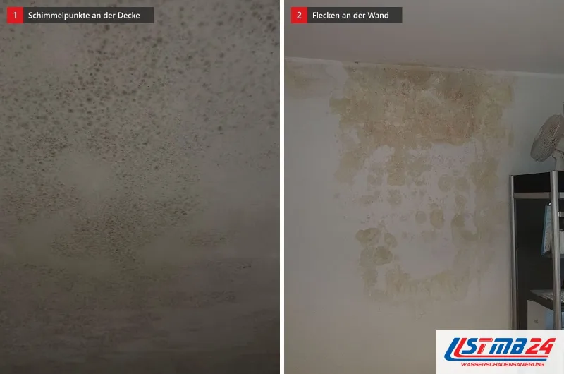 Zwei Bilder: links eine Decke voller dunkler Schimmelpunkte, rechts eine Wand mit großen hellen und dunklen Flecken neben einem Regal