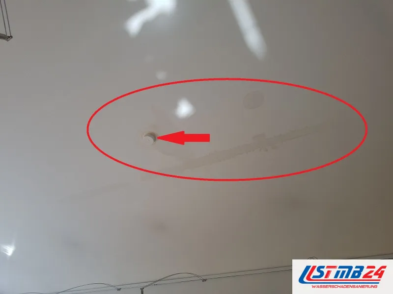 Weiße Decke mit einem kleinen dunklen Punkt, ein roter Pfeil und eine Ellipse markieren die Stelle, an der Wasser durchtritt