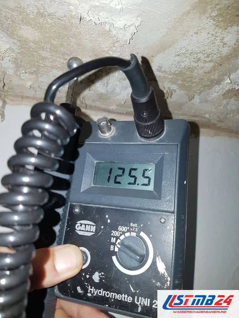 Feuchtemessgerät mit Kugelsonden an einer fleckigen Decke, das Display zeigt 125,5 Digits, das Spiralkabel hängt herab