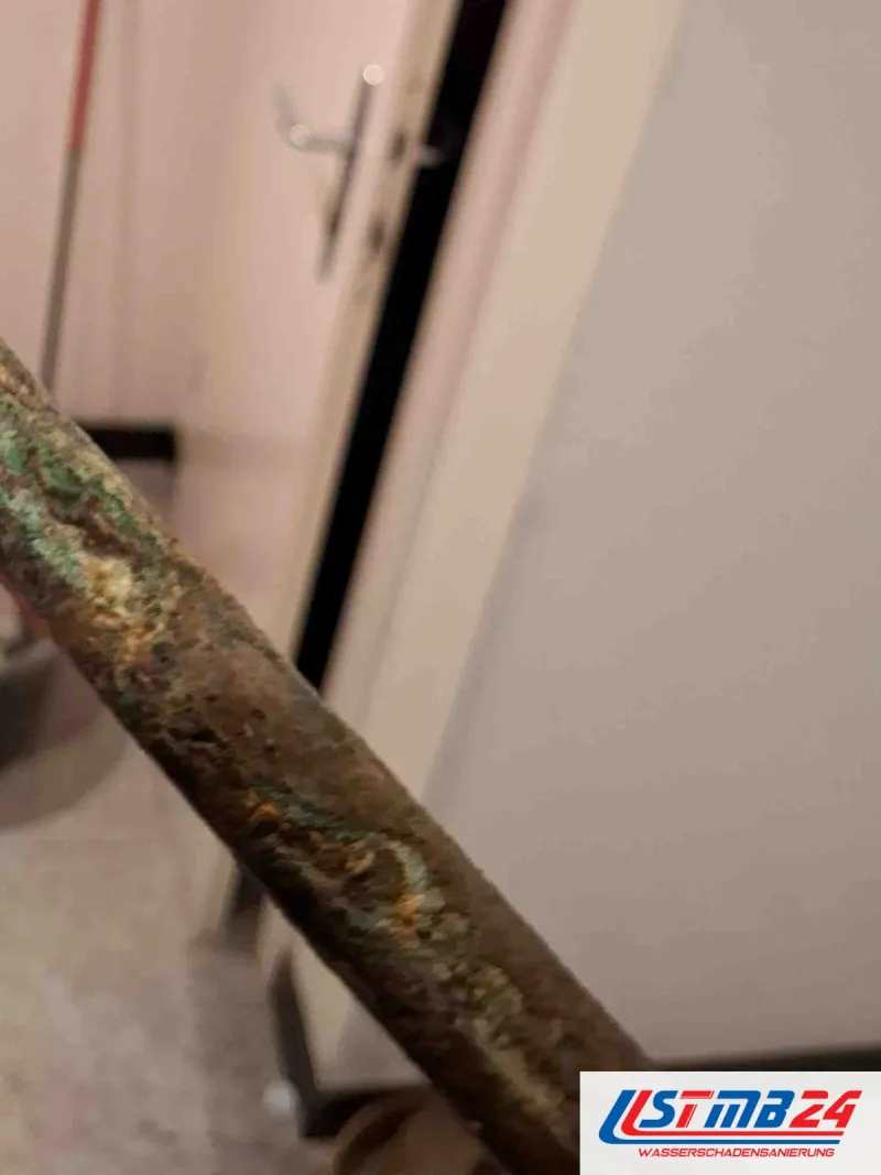Ausgebautes altes Rohrstück mit grünlich braunem Belag, dahinter eine weiße Kellertür