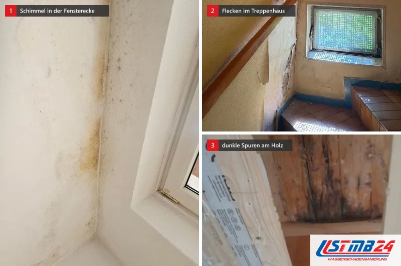 Drei Bilder: Schimmelpunkte in einer Ecke am Fenster, Feuchteflecken an einer Treppenhauswand und dunkle Spuren auf einer Holzschalung