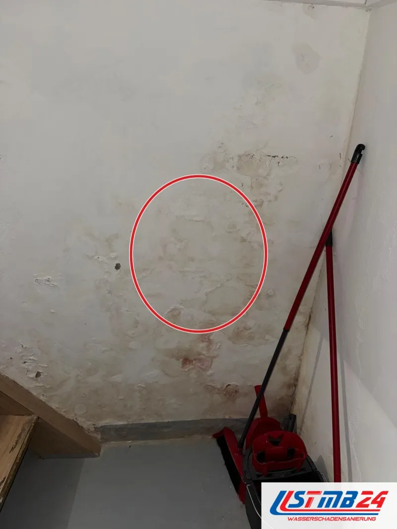 Abstellraum mit fleckiger Wand, Schimmelflecken und Salzrändern bis auf Hüfthöhe, in der Ecke Besen, ein roter Kreis markiert die Stelle