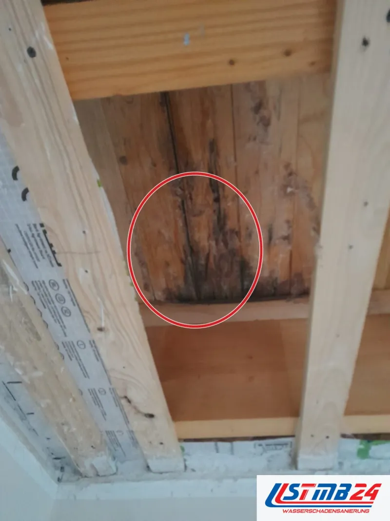 Holzschalung mit dunklen Wasserspuren, ein roter Kreis markiert die Stelle
