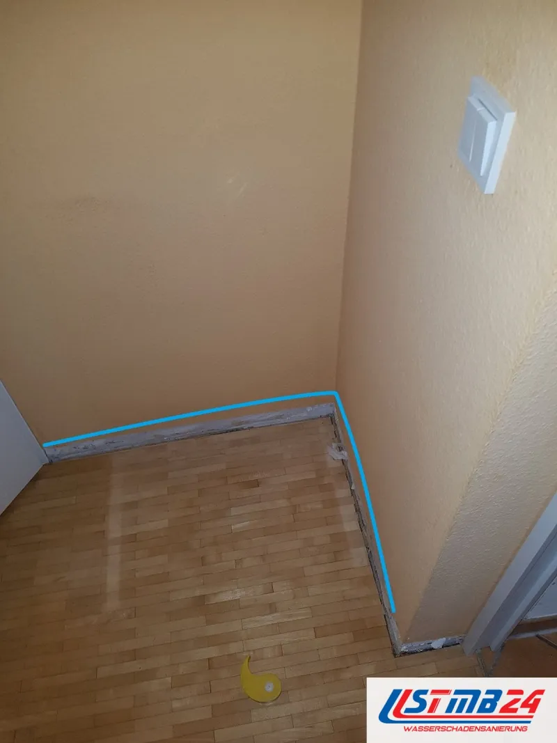 Leeres Zimmer mit Stabparkett, eine blaue Linie im Bild markiert die nasse Zone entlang der Wand