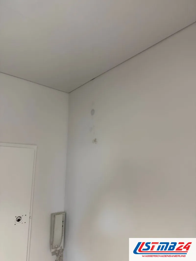 Weiße Wand im Flur neben Tür und Gegensprechanlage, oben einzelne dunkle Schimmelpunkte