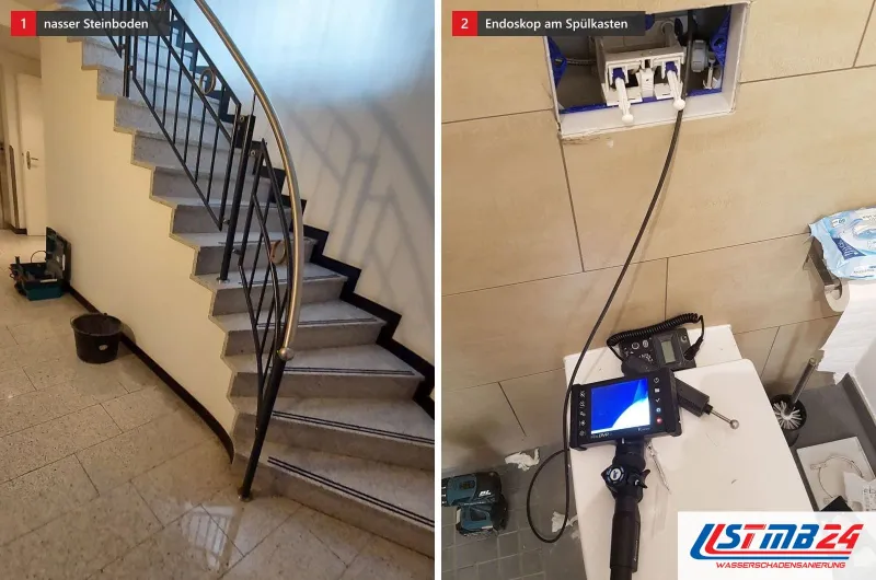 Zwei Bilder: ein Treppenhaus mit geschwungener Treppe und nassem Steinboden und ein Endoskop in der Revisionsöffnung eines Spülkastens