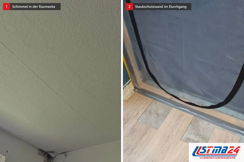 Zwei Bilder: eine Raumecke mit dunklen Schimmelspuren am unteren Rand und eine Staubschutzwand mit Reißverschluss im Durchgang
